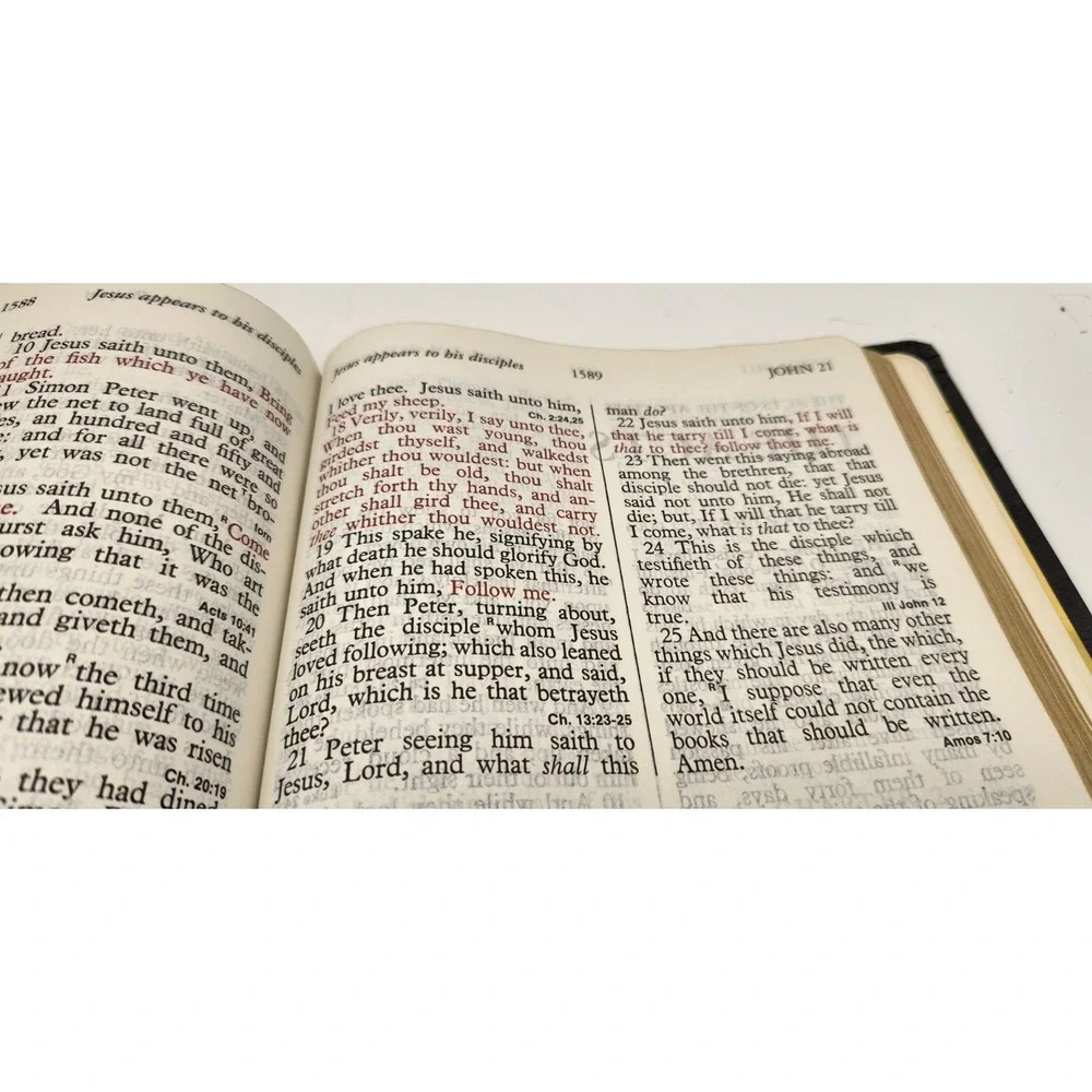 Dugan Holy Bible King James Giant Print Dictionary Concordance Red Letter